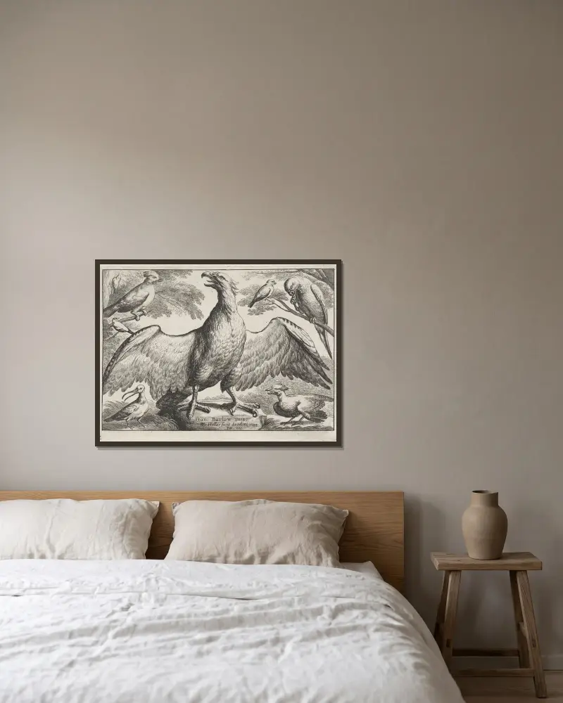 An eagle with outstretched wings standing on a rock, surrounded by six other birds av Wenceslaus Hollar inramad på en vägg