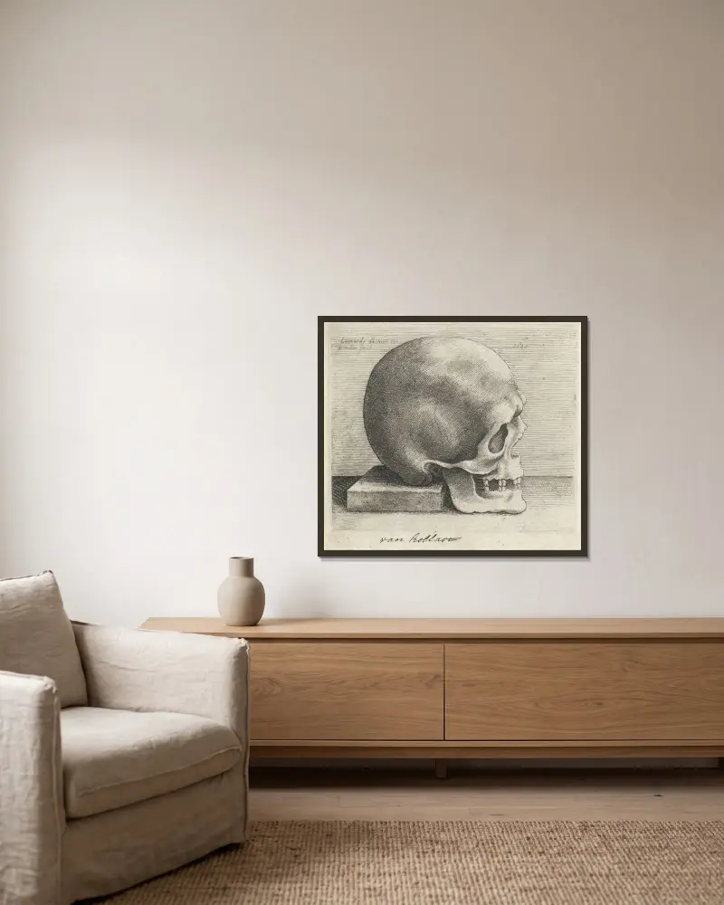 Studium anatomiczne czaszki, Wenceslaus Hollar w ramie na ścianie