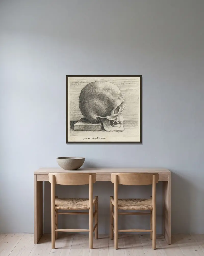 Studium anatomiczne czaszki, Wenceslaus Hollar w ramie na ścianie