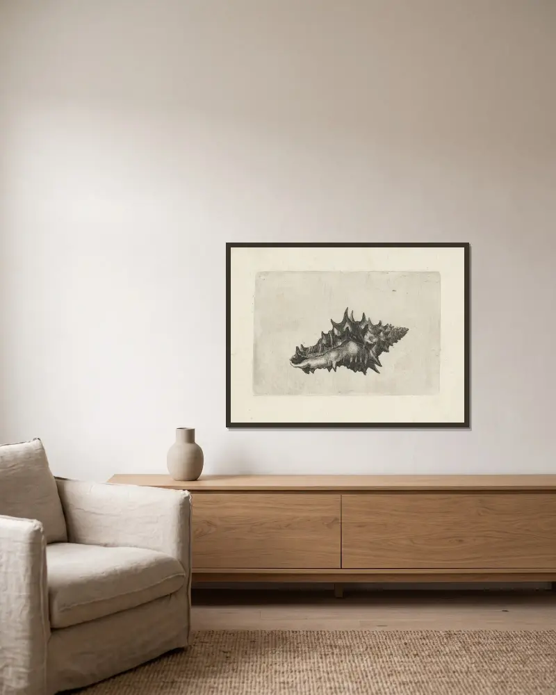 Keramická váza (Vasum ceramicum), Wenceslaus Hollar v rámu na stěně