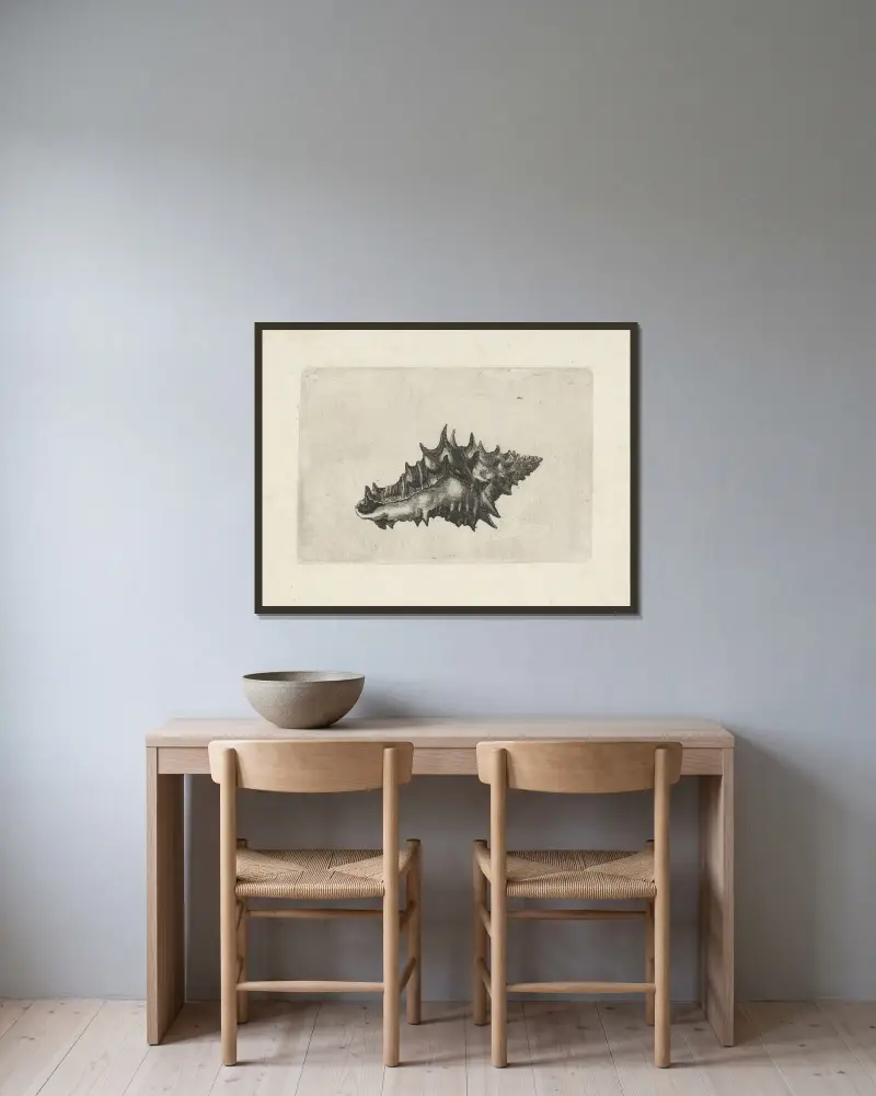 Keramická váza (Vasum ceramicum), Wenceslaus Hollar v rámu na stěně