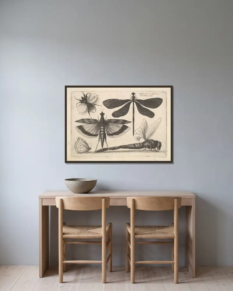 Libellen und eine Hummel von Wenceslaus Hollar gerahmt an einer Wand