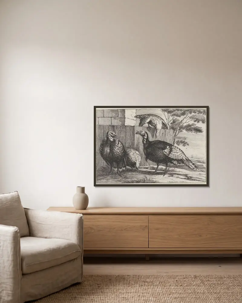Fyra kalkoner vid ett staket av Wenceslaus Hollar inramad på en vägg