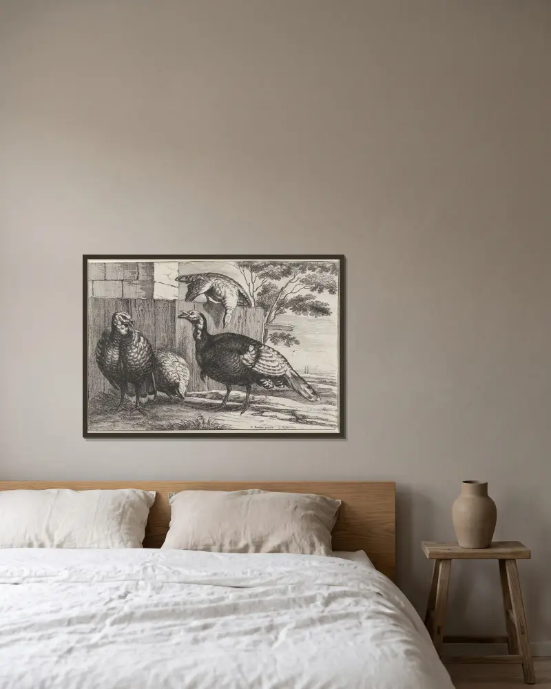Fyra kalkoner vid ett staket av Wenceslaus Hollar inramad på en vägg