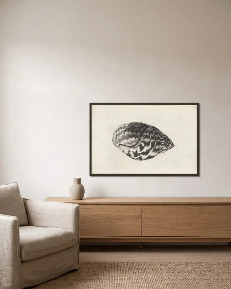 Riesige Ghana-Landschnecke (Achatina achatina) von Wenceslaus Hollar gerahmt an einer Wand