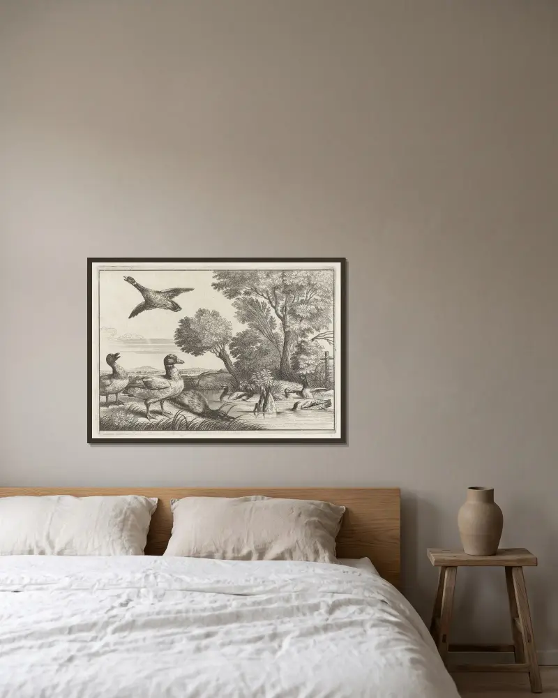 Nio ankor i olika ställningar i ett flodlandskap med pilträd av Wenceslaus Hollar inramad på en vägg