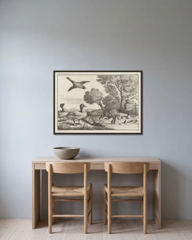 Nio ankor i olika ställningar i ett flodlandskap med pilträd av Wenceslaus Hollar inramad på en vägg