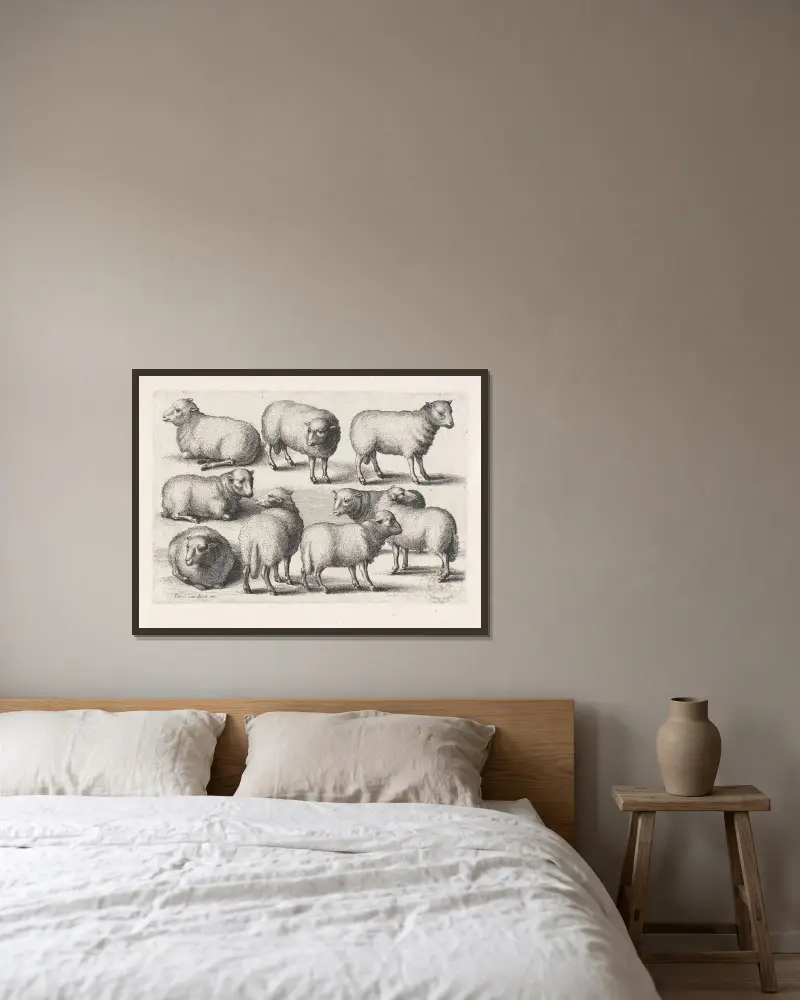 Neun Schafe auf einem Feld von Wenceslaus Hollar gerahmt an einer Wand