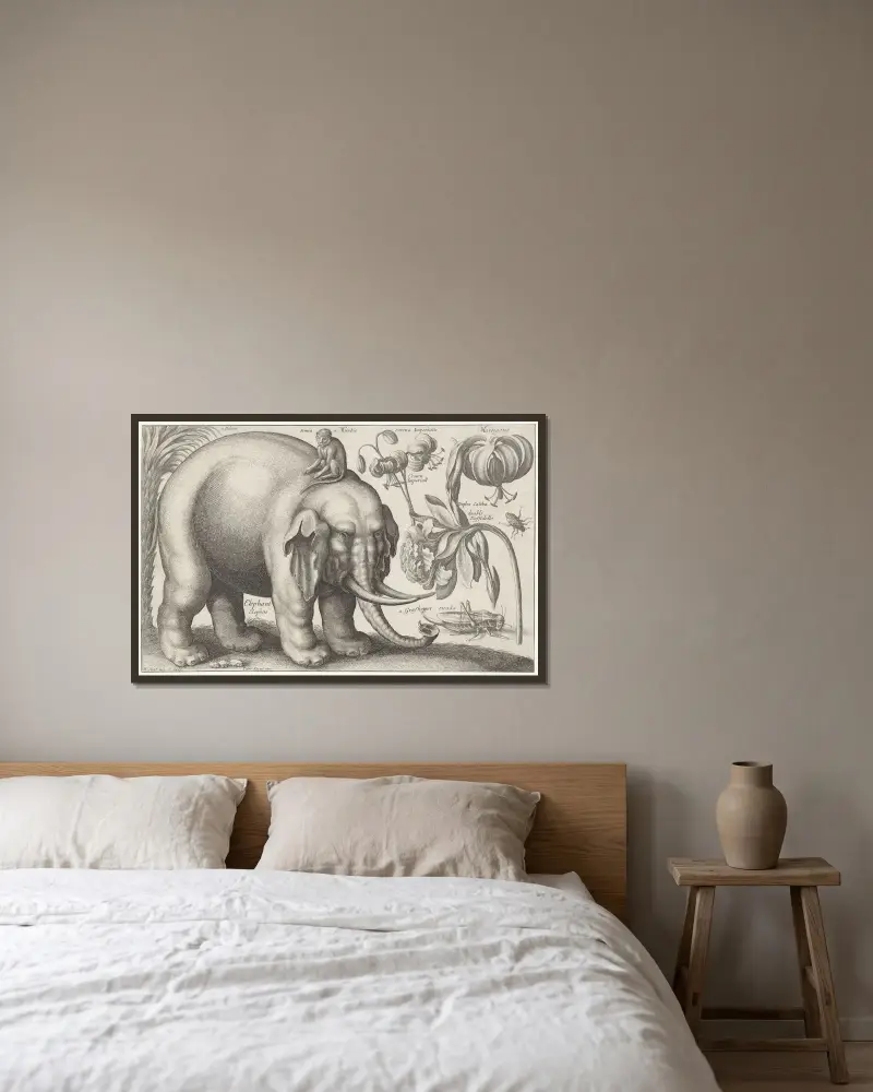 Elefant, Affe, Blumen und Insekten von Wenceslaus Hollar gerahmt an einer Wand