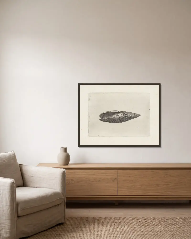 Päpstliche Mitra (Mitra papalis) von Wenceslaus Hollar gerahmt an einer Wand