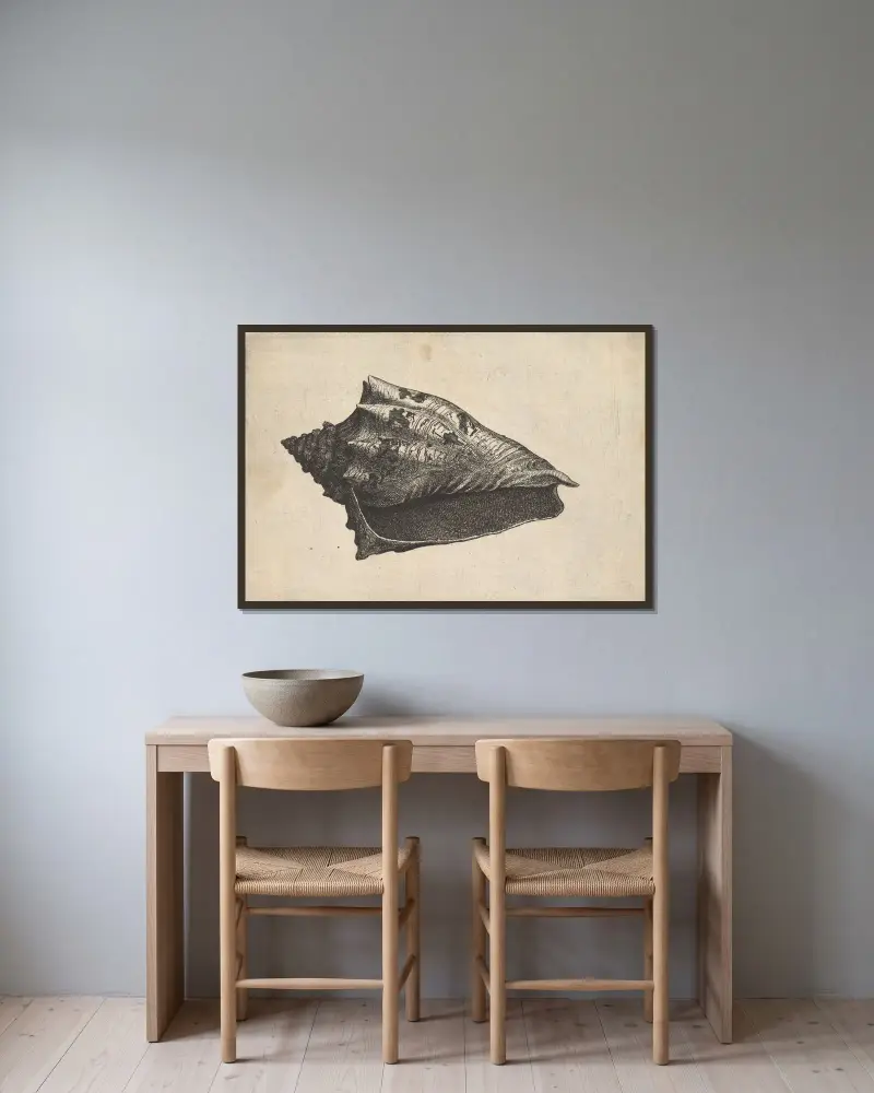 Schnecke; Hebräische Volute von Wenceslaus Hollar gerahmt an einer Wand