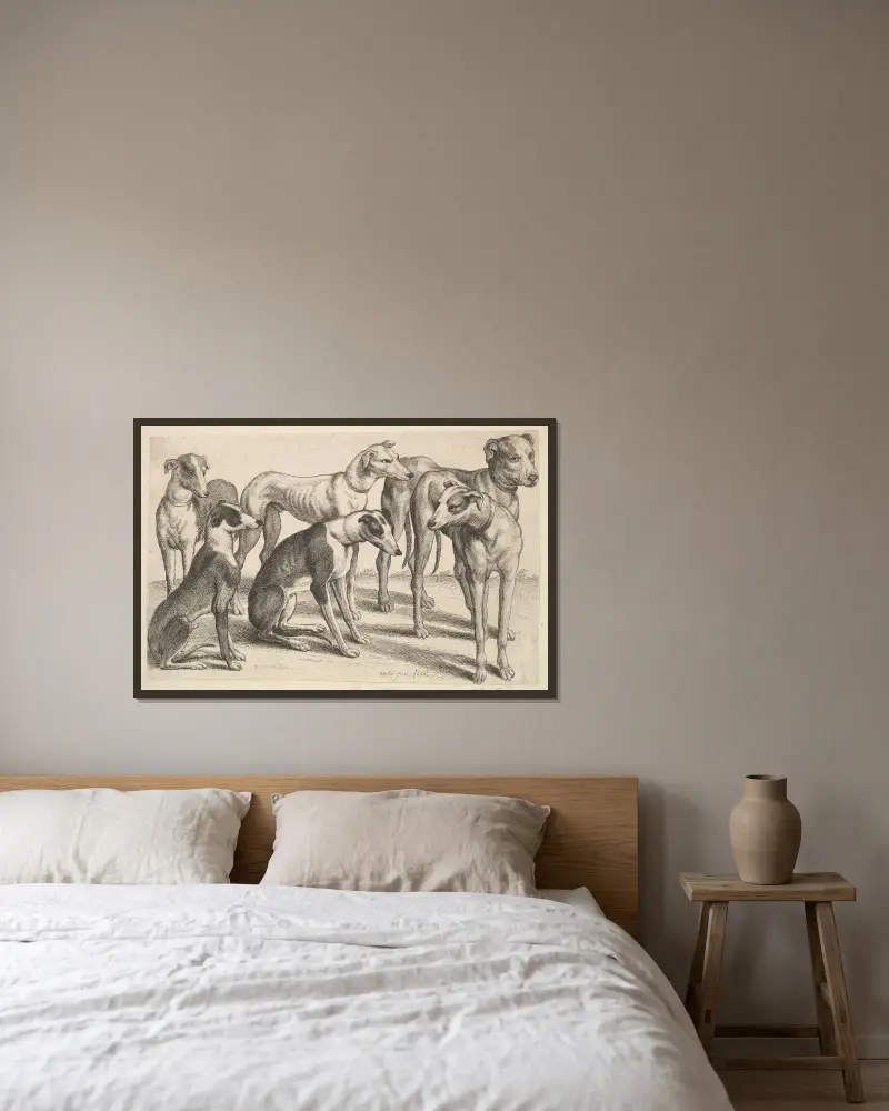 Sechs Hunde von Wenceslaus Hollar gerahmt an einer Wand