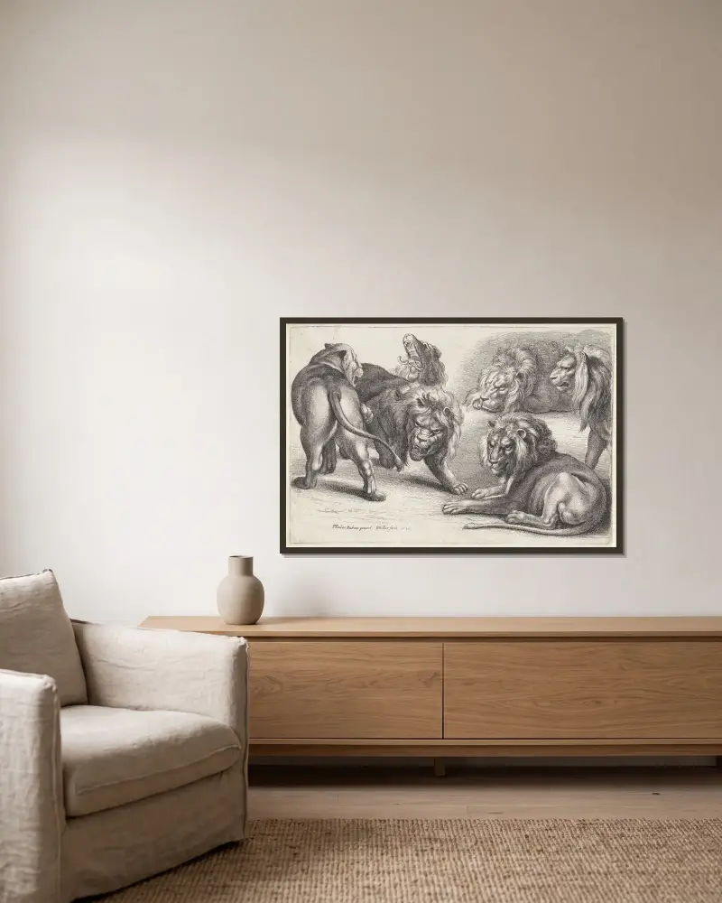 Sechs Löwen in verschiedenen Haltungen von Wenceslaus Hollar gerahmt an einer Wand