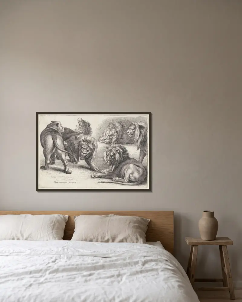 Sechs Löwen in verschiedenen Haltungen von Wenceslaus Hollar gerahmt an einer Wand