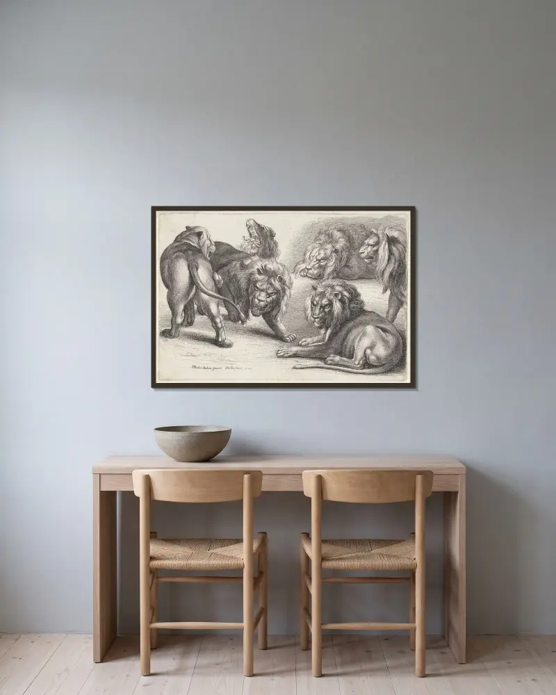 Sechs Löwen in verschiedenen Haltungen von Wenceslaus Hollar gerahmt an einer Wand