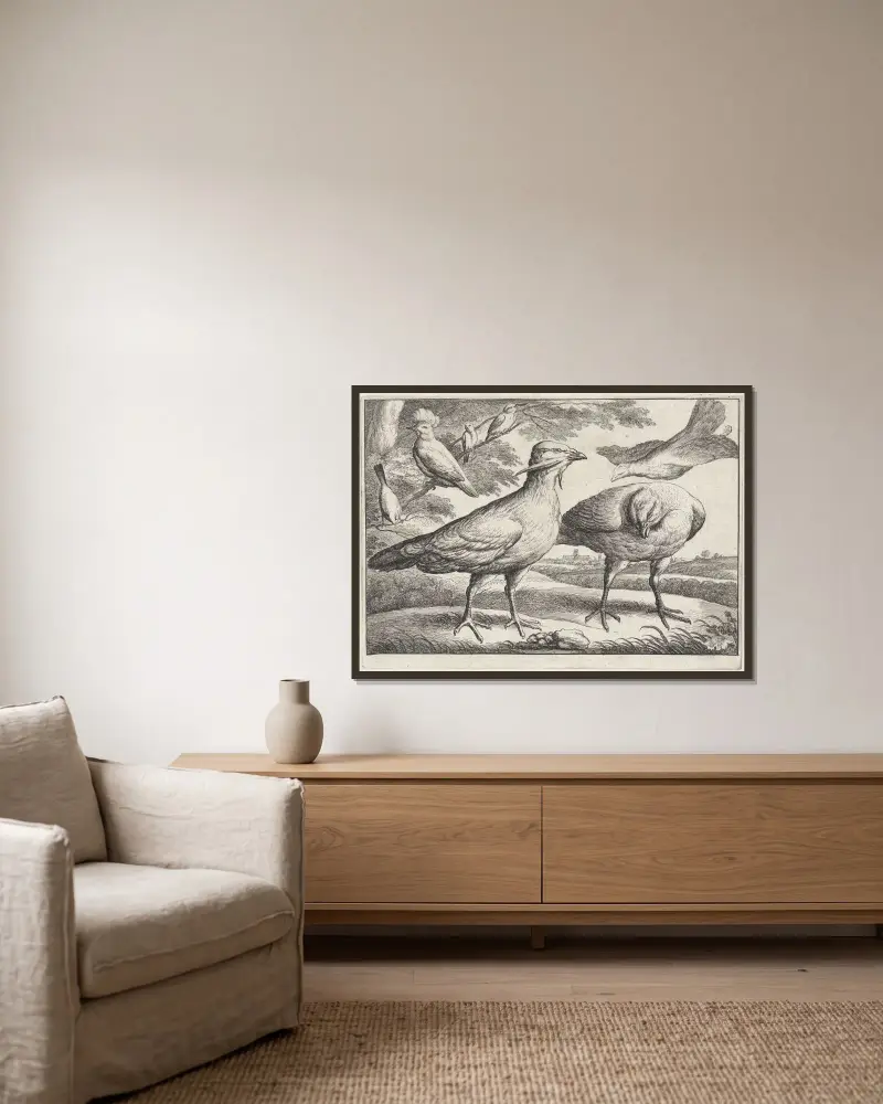 Drei Trappen, eine davon von rechts einfliegend von Wenceslaus Hollar gerahmt an einer Wand