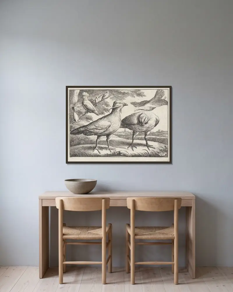 Drei Trappen, eine davon von rechts einfliegend von Wenceslaus Hollar gerahmt an einer Wand