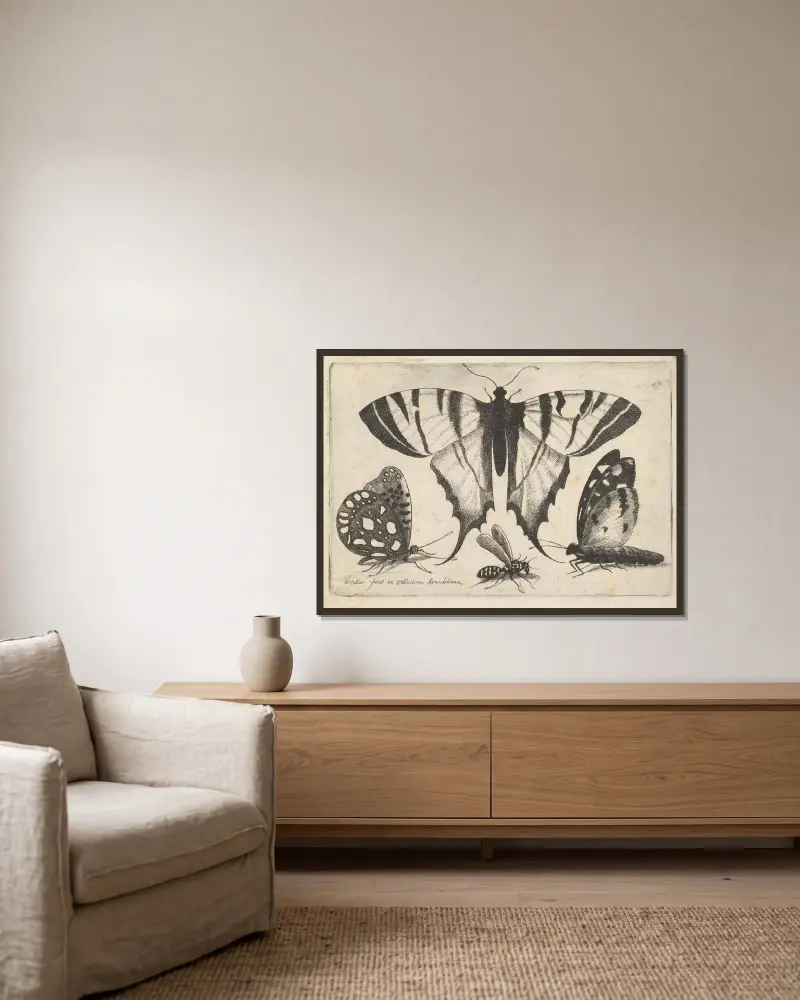 Tre fjärilar och en geting av Wenceslaus Hollar inramad på en vägg