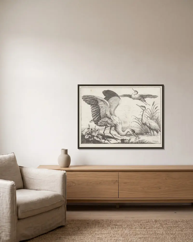 Drei Reiher; einer mit ausgebreiteten Flügeln greift einen Frosch aus dem Fluss, während ein anderer abhebt von Wenceslaus Hollar gerahmt an einer Wand