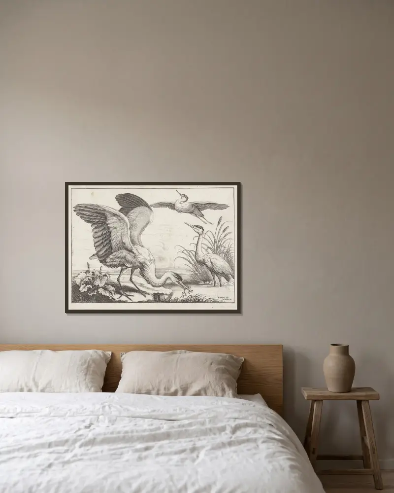 Drei Reiher; einer mit ausgebreiteten Flügeln greift einen Frosch aus dem Fluss, während ein anderer abhebt von Wenceslaus Hollar gerahmt an einer Wand