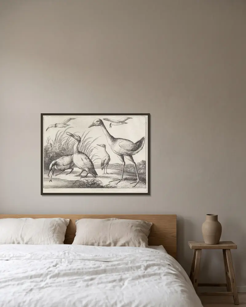 Två skarvar, en av dem med en fisk i näbben, en häger och en stor vadarfågel i ett flodlandskap av Wenceslaus Hollar inramad på en vägg