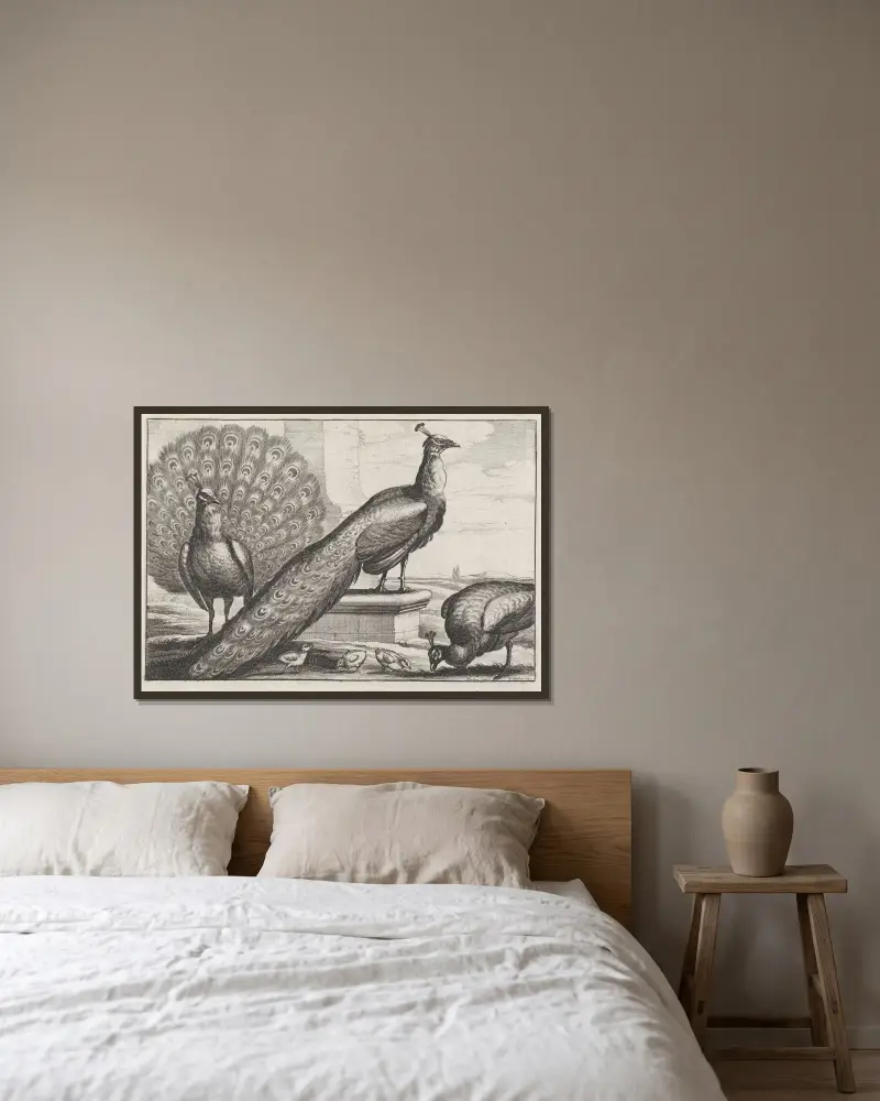 Zwei Pfauen, eine Pfauhenne und drei Küken von Wenceslaus Hollar gerahmt an einer Wand