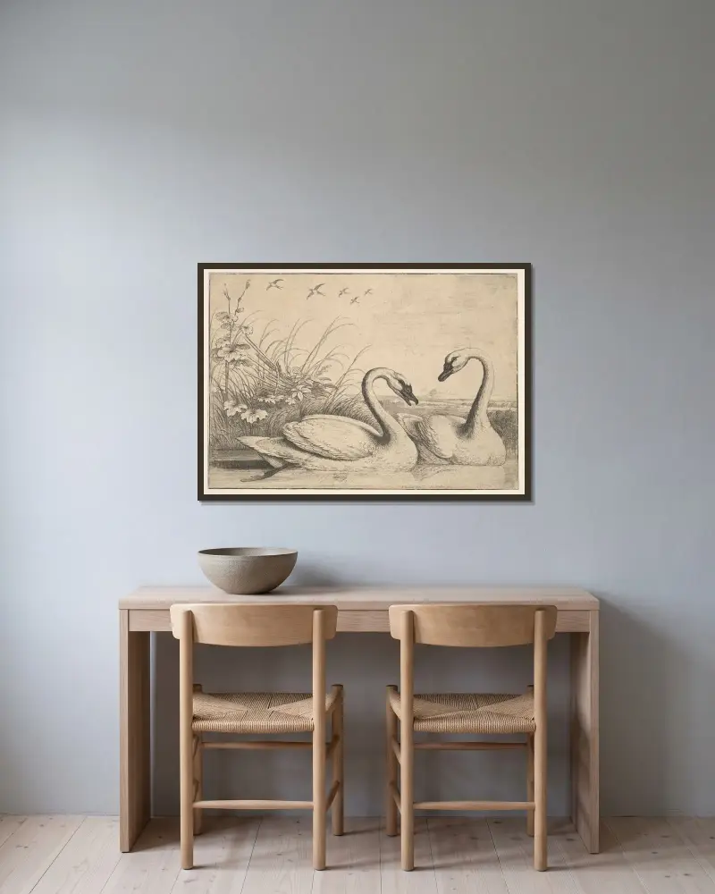 Zwei Schwäne von Wenceslaus Hollar gerahmt an einer Wand