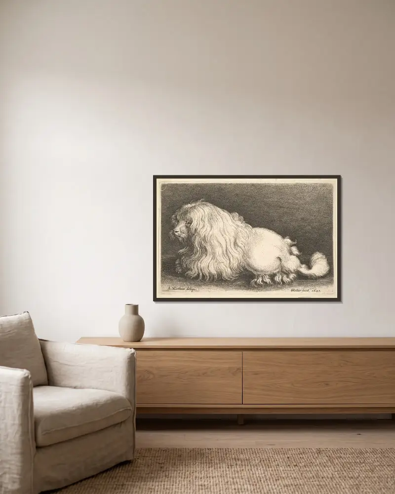 Vit hund av Wenceslaus Hollar inramad på en vägg