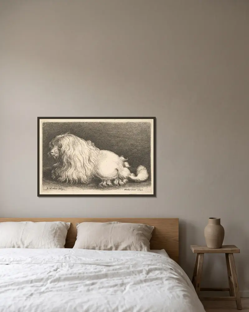 Vit hund av Wenceslaus Hollar inramad på en vägg