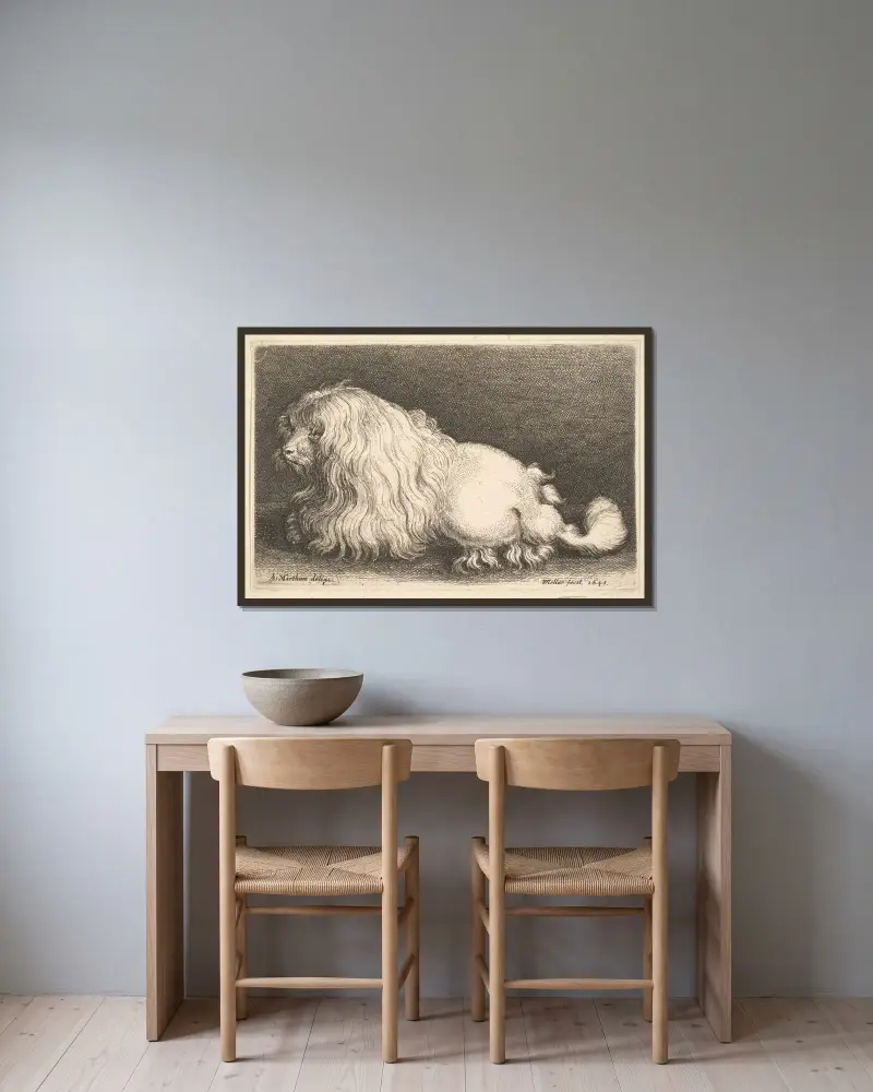 Vit hund av Wenceslaus Hollar inramad på en vägg