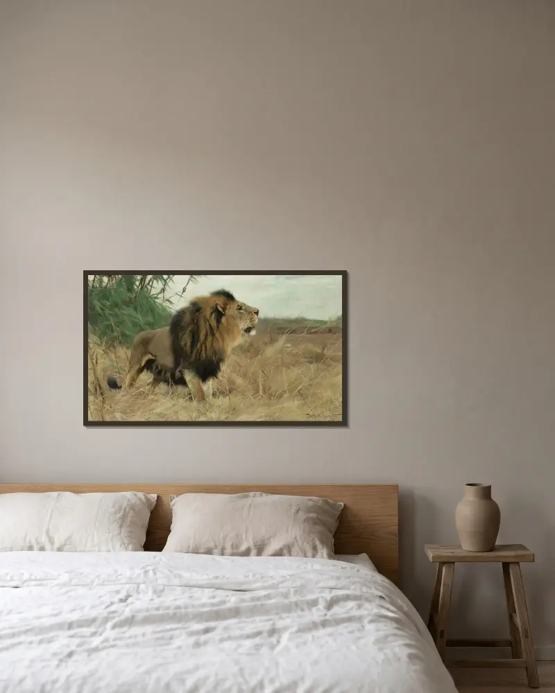Berberlöwe von Wilhelm Kuhnert gerahmt an einer Wand