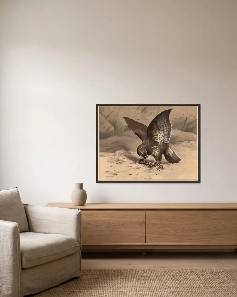 Bussard von Wilhelm Kuhnert gerahmt an einer Wand