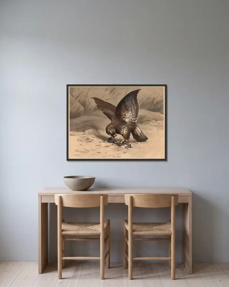 Bussard von Wilhelm Kuhnert gerahmt an einer Wand