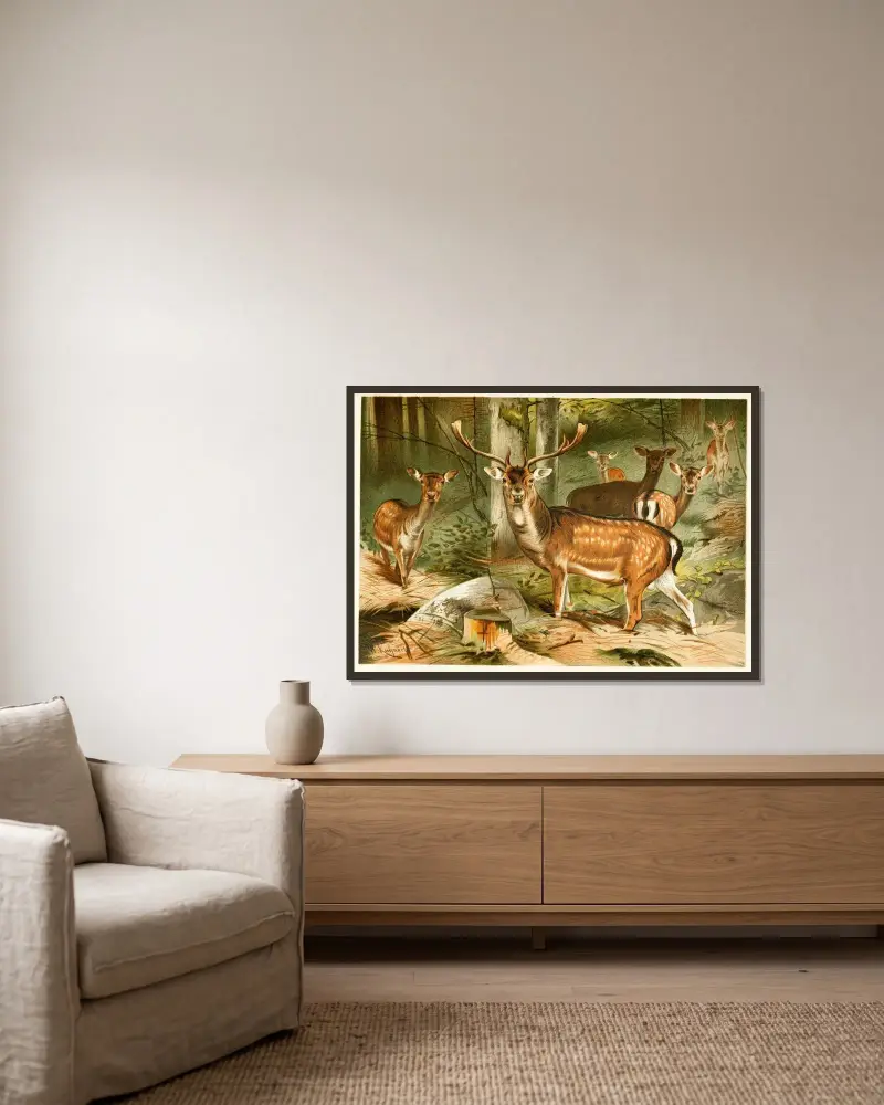 Damhirsch von Wilhelm Kuhnert gerahmt an einer Wand