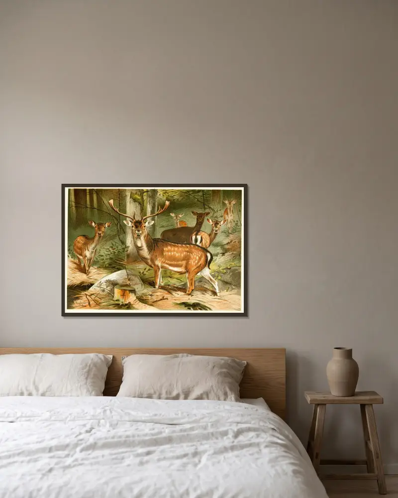 Damhirsch von Wilhelm Kuhnert gerahmt an einer Wand