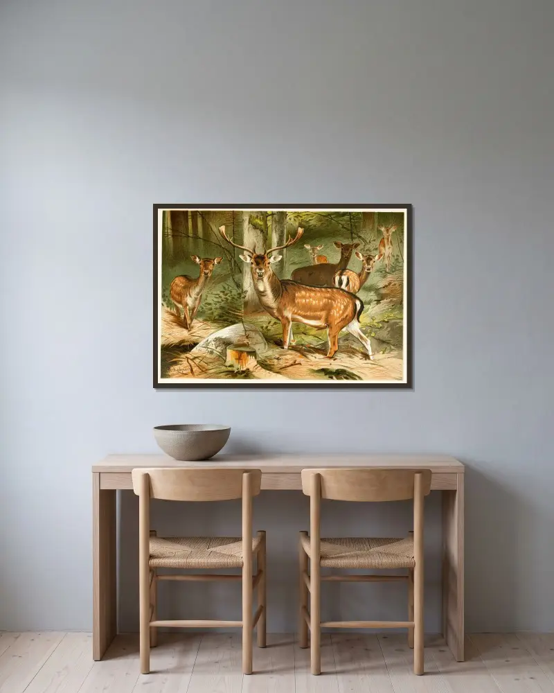 Damhirsch von Wilhelm Kuhnert gerahmt an einer Wand