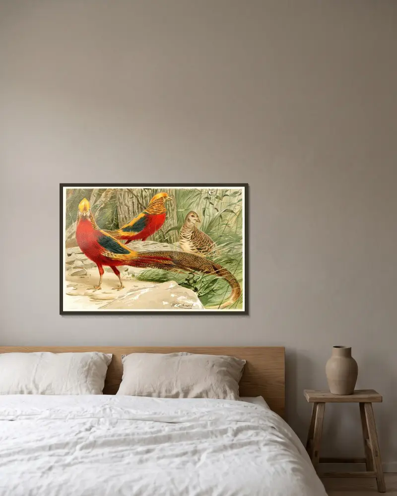 Goldfasane von Wilhelm Kuhnert gerahmt an einer Wand