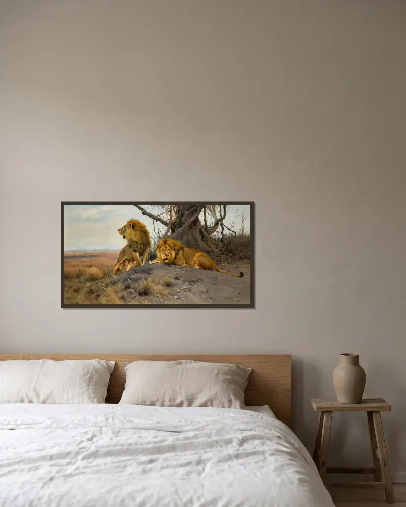 Grollende Löwen von Wilhelm Kuhnert gerahmt an einer Wand