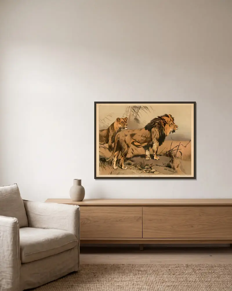 Lion and lioness av Wilhelm Kuhnert inramad på en vägg