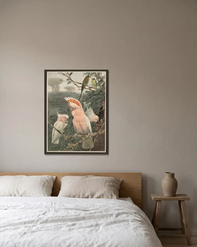 Pink cockatoo av Wilhelm Kuhnert inramad på en vägg