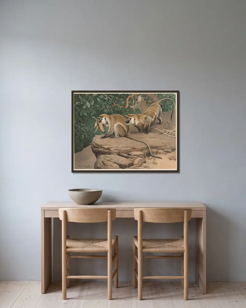 Grüne Meerkatze von Wilhelm Kuhnert gerahmt an einer Wand