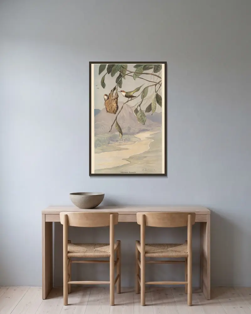 Schneidervogel von Wilhelm Kuhnert gerahmt an einer Wand