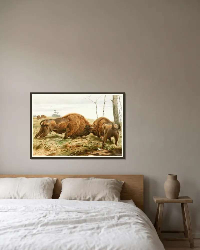 The European Bison av Wilhelm Kuhnert inramad på en vägg