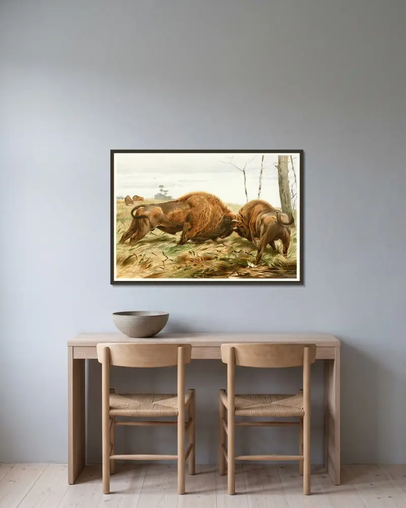 The European Bison av Wilhelm Kuhnert inramad på en vägg