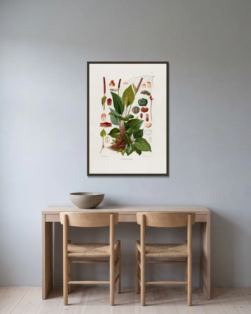 Aroideae Maximilianae Tafel 11 von Heinrich Wilhelm Schott gerahmt an einer Wand