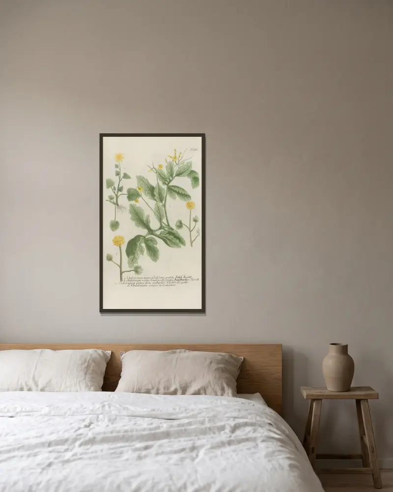 Phytanthoza iconographia Pl.089 av Johann Wilhelm Weinmann inramad på en vägg
