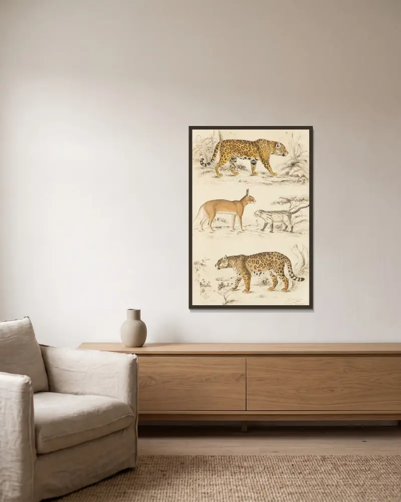 Katzen, 1835 – Nr. 1 von William MacGillivray gerahmt an einer Wand