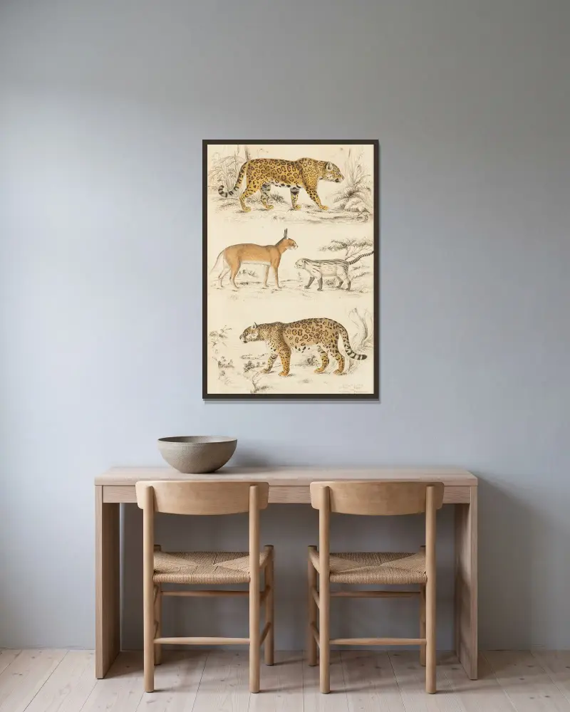 Katzen, 1835 – Nr. 1 von William MacGillivray gerahmt an einer Wand