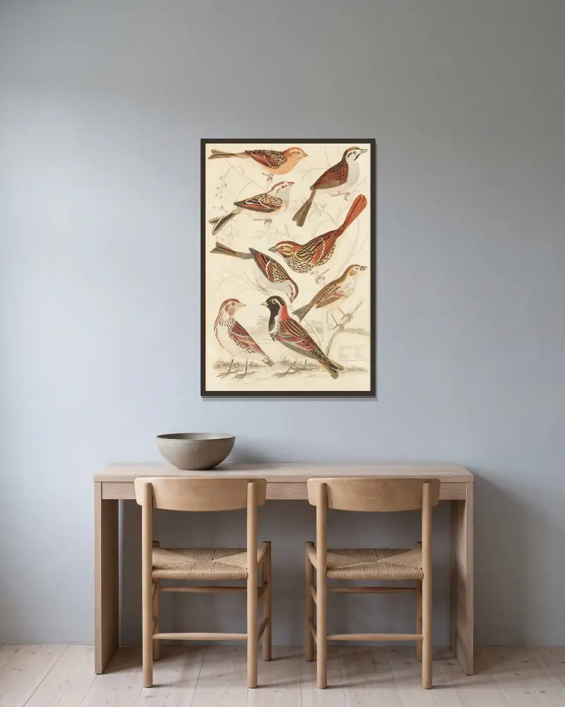Finken von William MacGillivray gerahmt an einer Wand