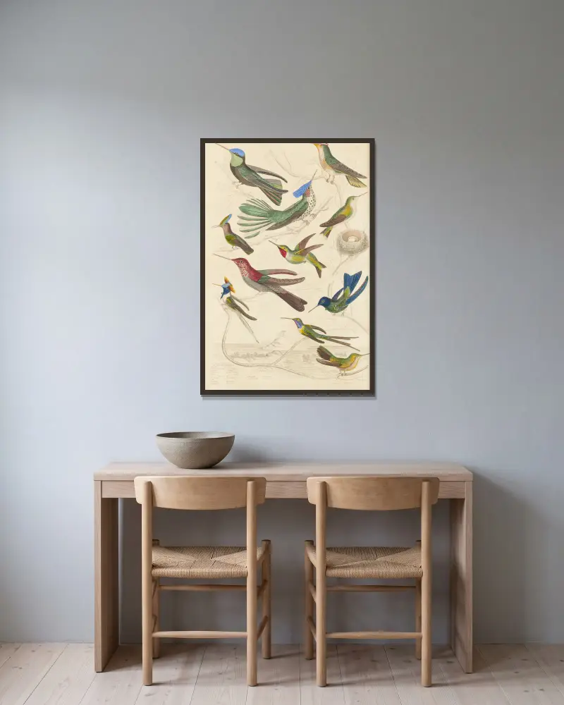 Kolibris, 1835 – Nr. 2 von William MacGillivray gerahmt an einer Wand